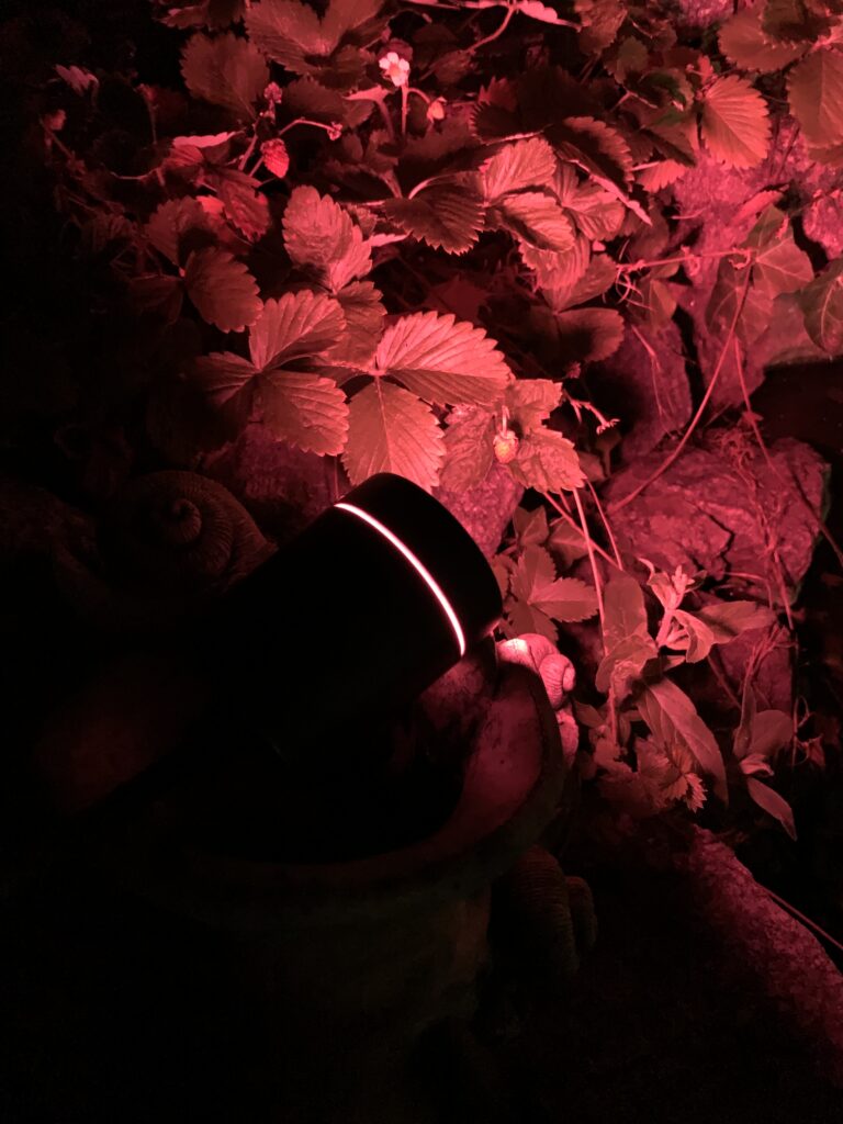 tint von Müller-Licht - Smarte LED Gartenspots Flores im Test 27
