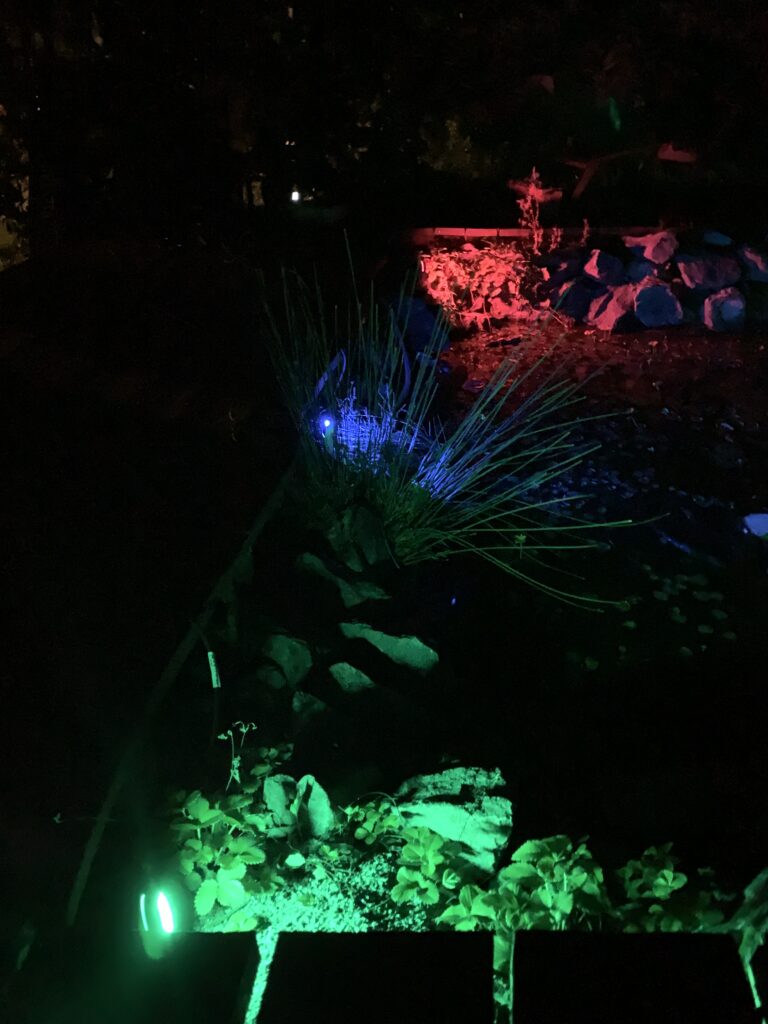 tint von Müller-Licht - Smarte LED Gartenspots Flores im Test 23