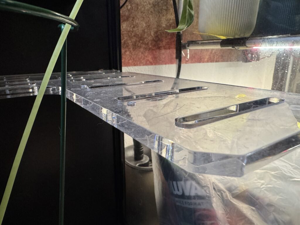 Pflanzenvitrine einrichten: IKEA Rudsta als grüne Oase 6