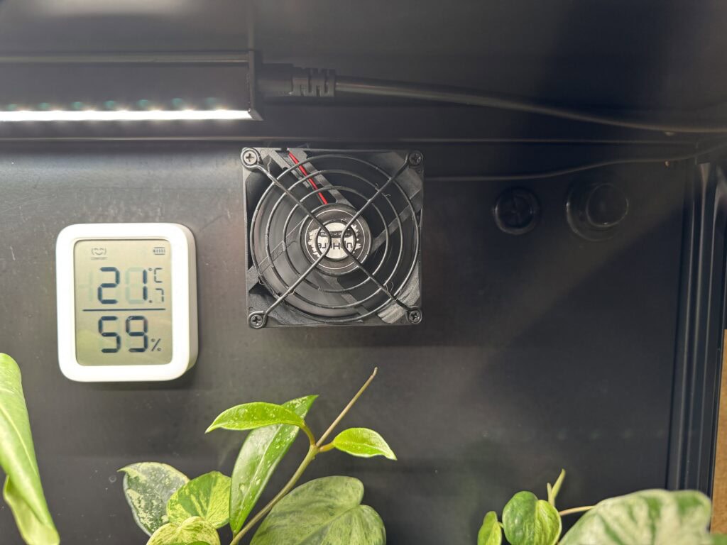 Pflanzenvitrine einrichten: IKEA Rudsta als grüne Oase 3