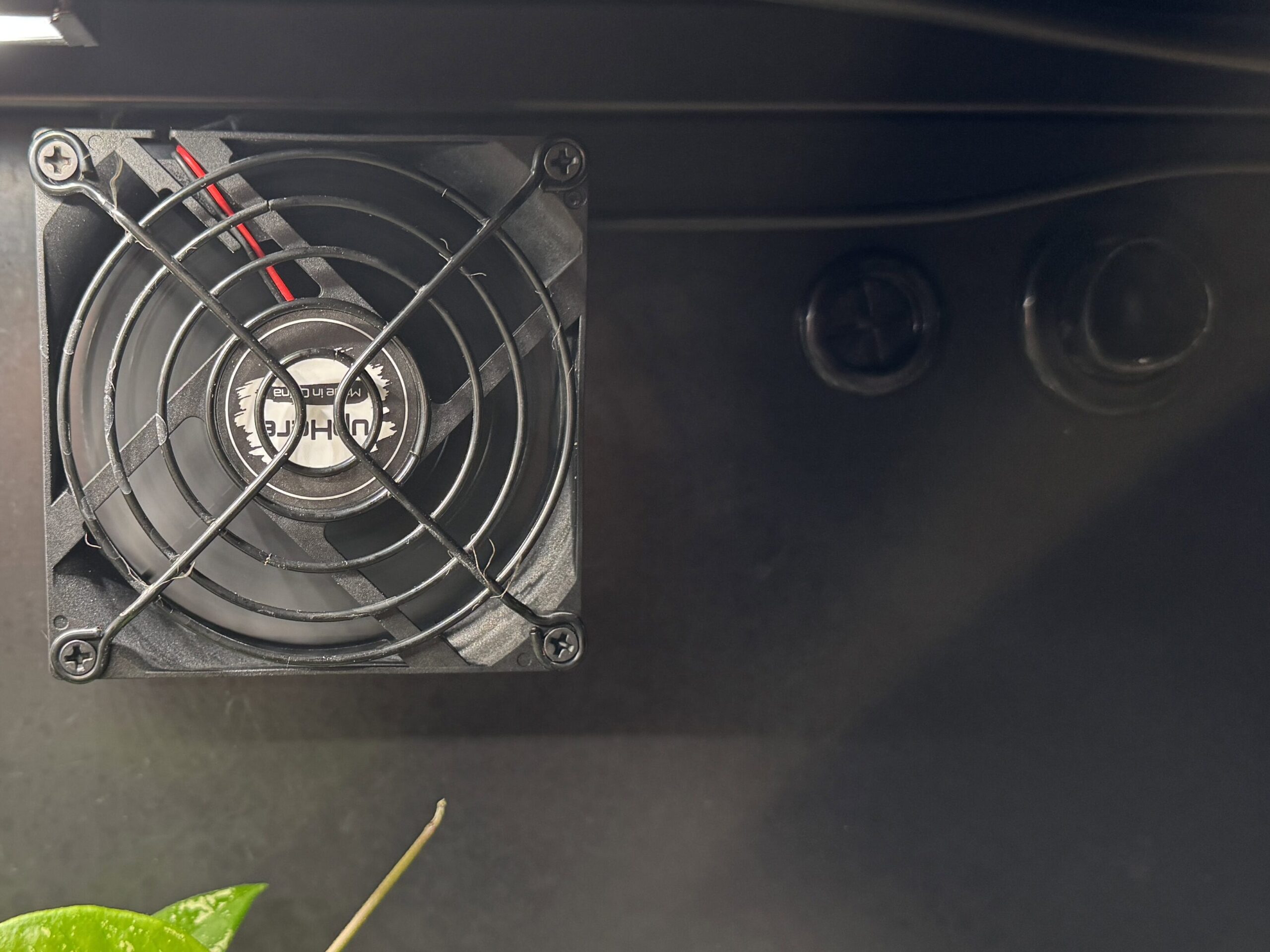 Pflanzenvitrine einrichten: IKEA Rudsta als grüne Oase 9