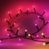 Philips Hue Festavia Lichterkette mit 250 LEDs als smarte Weihnachtsbeleuchtung