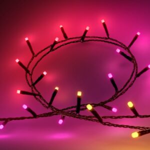 Philips Hue Festavia Lichterkette mit 250 LEDs als smarte Weihnachtsbeleuchtung
