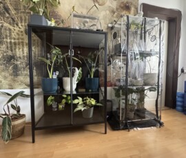 Pflanzenvitrine - IKEA Rudsta Umbau