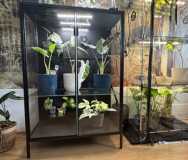 Pflanzenvitrine - IKEA Rudsta Umbau