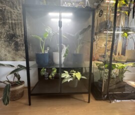 Pflanzenvitrine - IKEA Rudsta Umbau