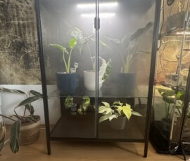 Pflanzenvitrine - IKEA Rudsta Umbau