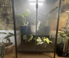 Pflanzenvitrine - IKEA Rudsta Umbau